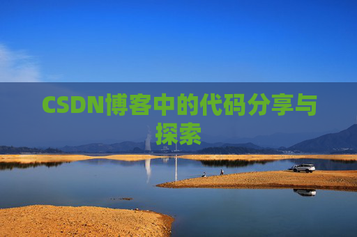 CSDN博客中的代码分享与探索